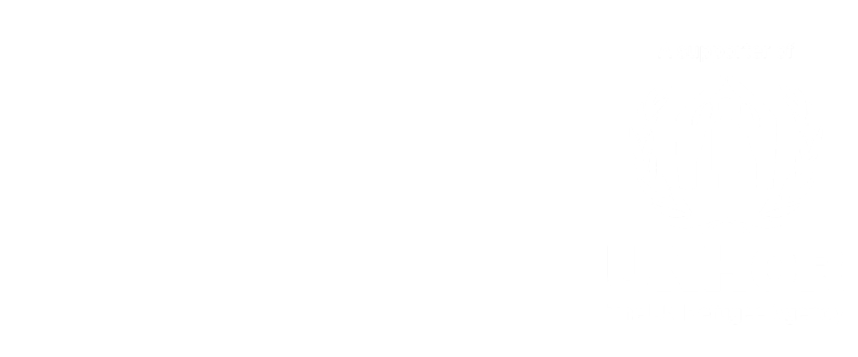 Ruder Finn Atteline - partnership with UNHCR